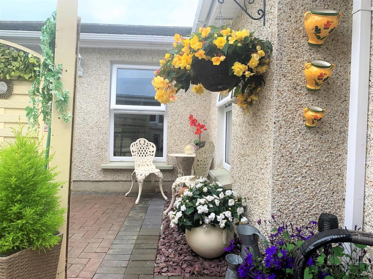 Naas 2 Bedroom Back Garden Escape Exterior photo